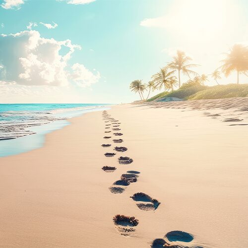 Hibiscus Holidays steps in the sand